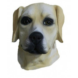 Hunde Maske Labrador