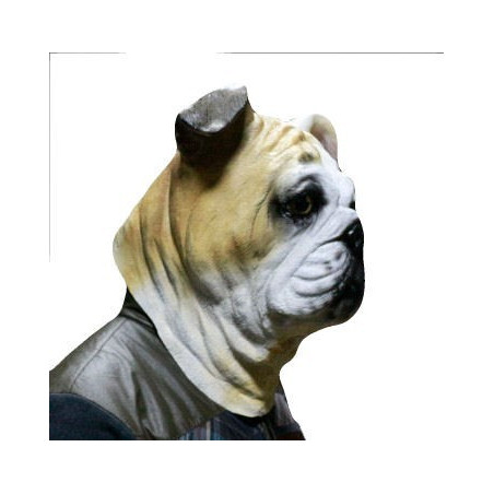 Hunde Maske Boxer