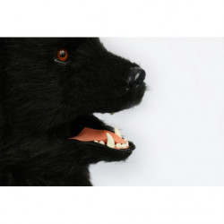 Bär Maske schwarzer Bär mit beweglichem Maul