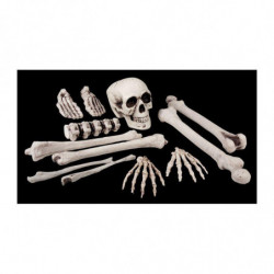 Menschliches Knochen und schädel kunststoff
